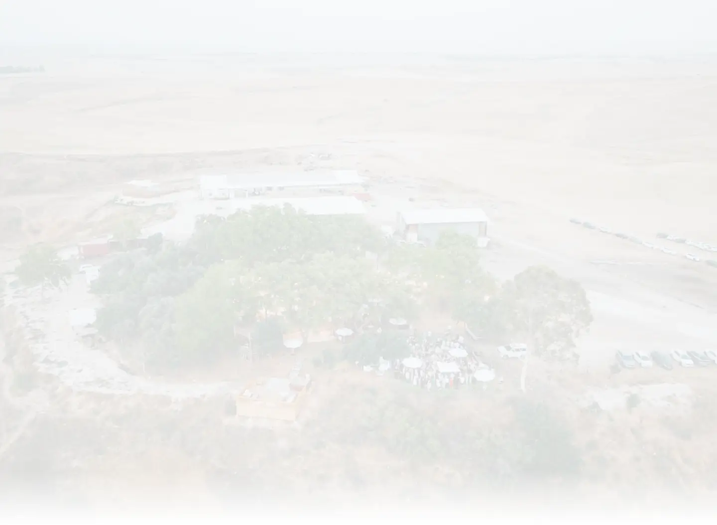 חתונה קטנה ואינטימית: איך מתכננים אירוע מושלם בטבע